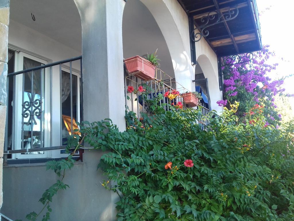 Apartments Pines Bar Εξωτερικό φωτογραφία