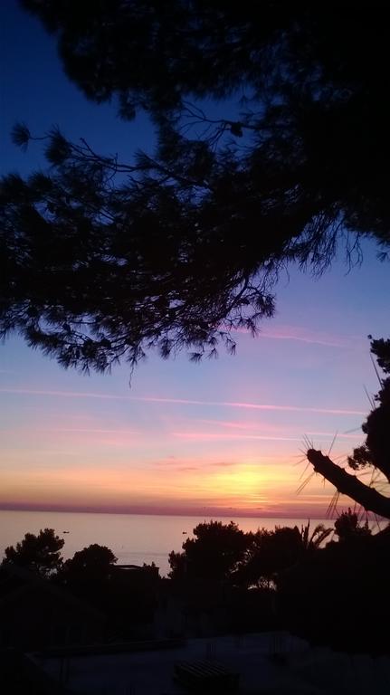 Apartments Pines Bar Εξωτερικό φωτογραφία